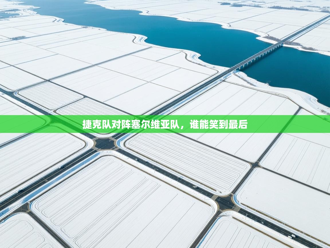 捷克队对阵塞尔维亚队，谁能笑到最后  第2张