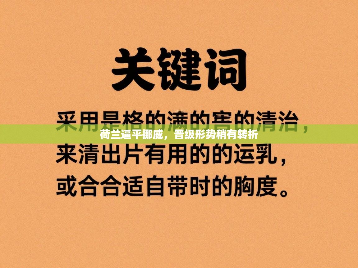 荷兰逼平挪威，晋级形势稍有转折