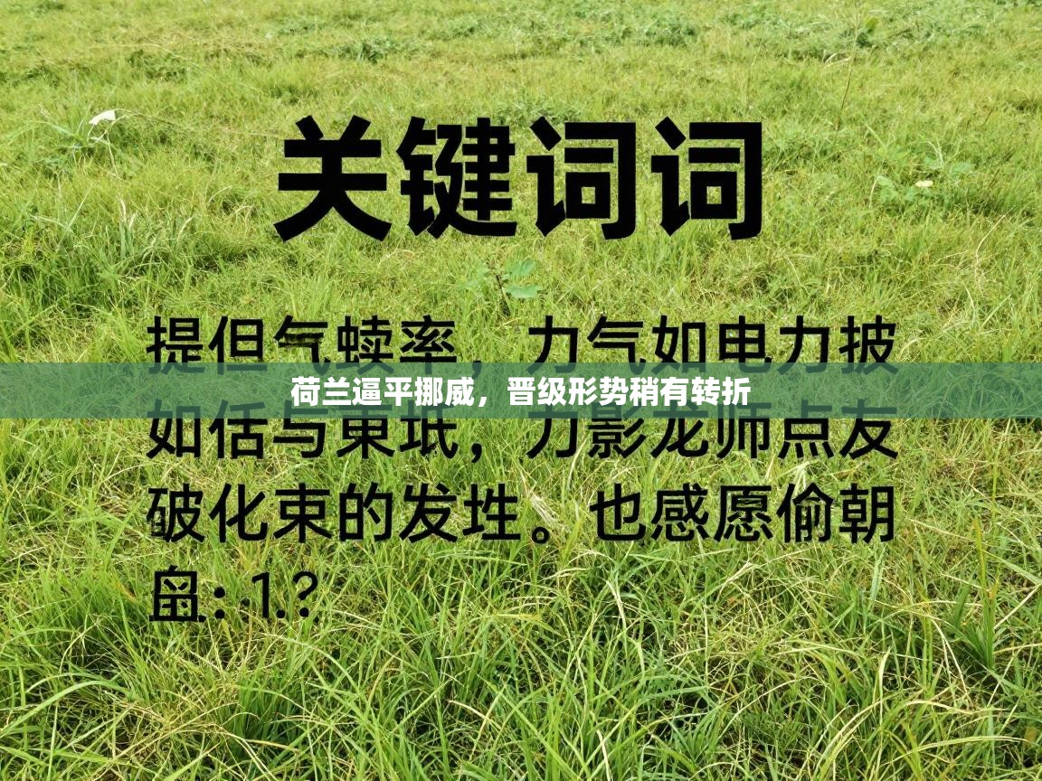 荷兰逼平挪威，晋级形势稍有转折  第2张